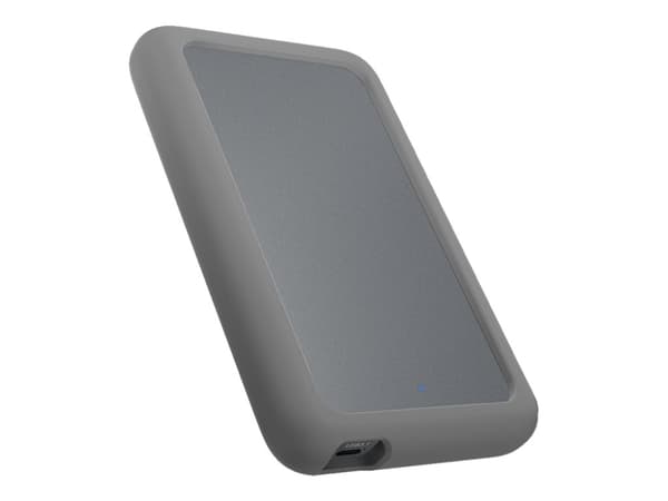 ICY BOX IB-246-C31-G - Förvaringslåda - 2.5" - SATA 6Gb/s - USB 3.2 (Gen 2) - grå Grå