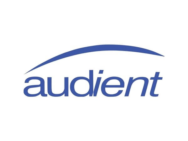 Audio interface Audient iD4 (MKII)