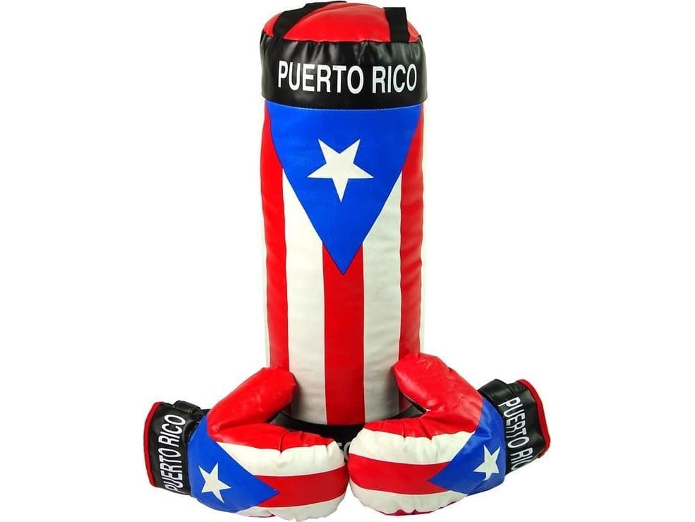 Children's Boxing Set Bag Two Gloves