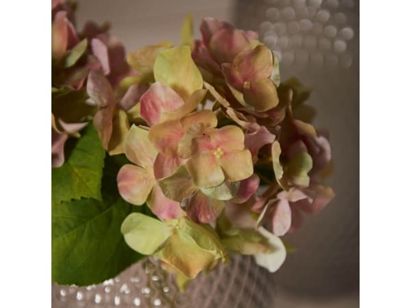 LEONARDO Poesia, inomhus, Konstgjord blommande växt, Hortensia, Multifärg, Plast, Alla tillfällen