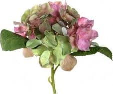 LEONARDO Poesia, inomhus, Konstgjord blommande växt, Hortensia, Multifärg, Plast, Alla tillfällen