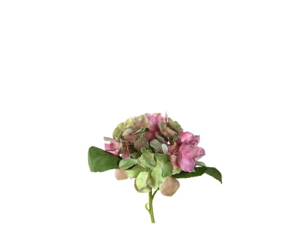 LEONARDO Poesia, inomhus, Konstgjord blommande växt, Hortensia, Multifärg, Plast, Alla tillfällen