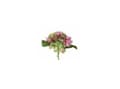 Miniatyrbild 1 av 5: LEONARDO Poesia, inomhus, Konstgjord blommande växt, Hortensia, Multifärg, Plast, Alla tillfällen