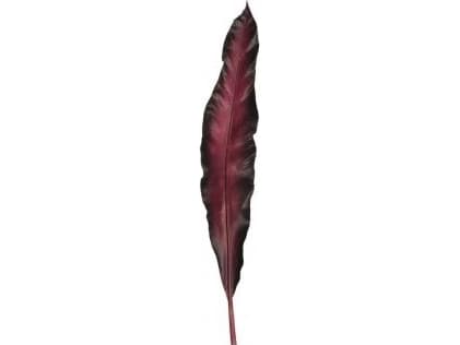 LEONARDO FIORE, inomhus, Artificial non-flowering plant, Röd, 110 mm, 10 mm, 750 mm
