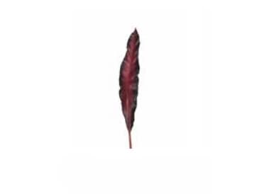 LEONARDO FIORE, inomhus, Artificial non-flowering plant, Röd, 110 mm, 10 mm, 750 mm