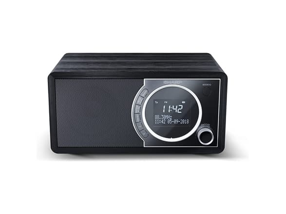 Sharp DR-450 - DAB-radio - 3 watt (Total) - svart