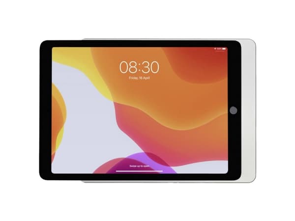 Displine Dame Wall Home Tabletin seinäteline Sopii tuotemerkkeihin (tabletti): Apple 25,9 cm (10,2)