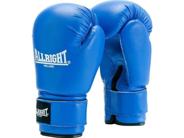 Allright TRAINING PRO 14oz universal nyrkkeilykäsineet