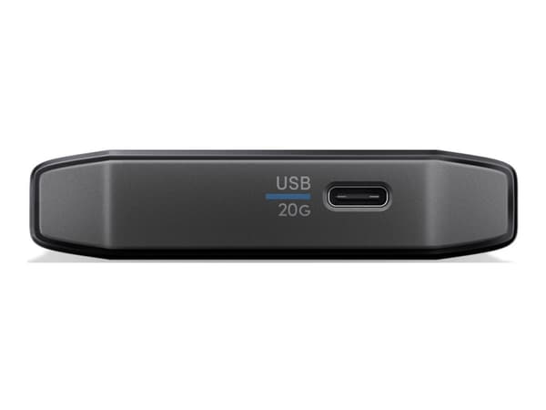 SanDisk Professional PRO-BLADE TRANSPORT - SSD - 4 TB - ekstern (bærbar) - USB 3.2 Gen 2x2 (USB-C kontakt)