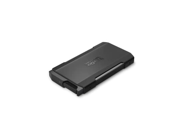 SanDisk Professional PRO-BLADE TRANSPORT - SSD - 1 TB - ekstern (bærbar) - USB 3.2 Gen 2x2 (USB-C kontakt)