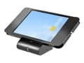 Pikkukuva 1 / 5: StarTech.com SECTBLTPOS2, 26,7 cm (10.5"), Musta, Terästä, 1,3 cm, 180°, Avain