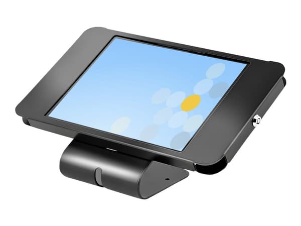 StarTech.com SECTBLTPOS2, 26,7 cm (10.5"), Musta, Terästä, 1,3 cm, 180°, Avain