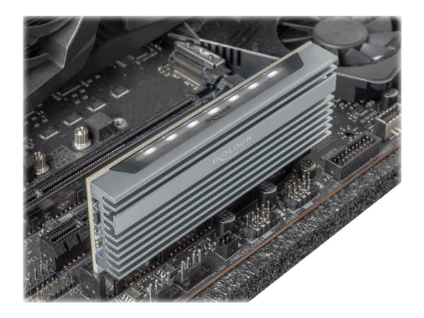 Delock - Lagringskontroll - M.2 - M.2 NVMe-kort - PCIe 4.0 x16