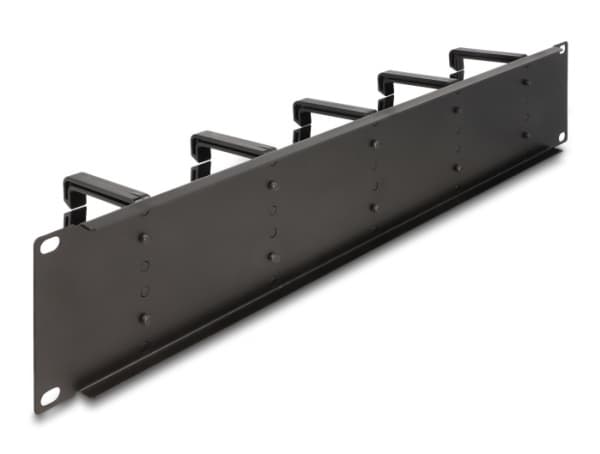 Delock - Rack cable management routing panel - with 10 plastic hooks - svart - 2U - 19"
