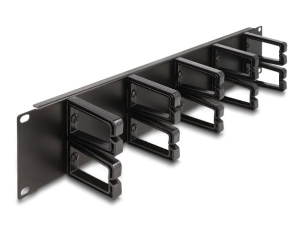 Delock - Rack cable management routing panel - with 10 plastic hooks - svart - 2U - 19"