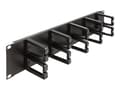 Miniatyrbilde 1 av 4: Delock - Rack cable management routing panel - with 10 plastic hooks - svart - 2U - 19"