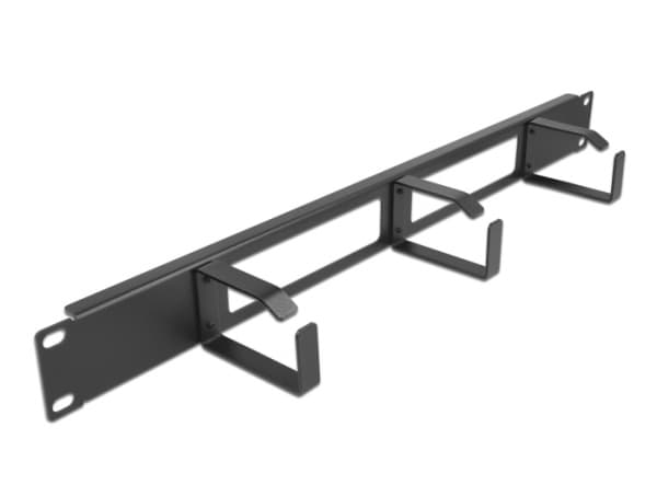 Delock - Rackkabel-styringspanel med kroker - 2 openings and 3 hooks - svart - 1U - 19"