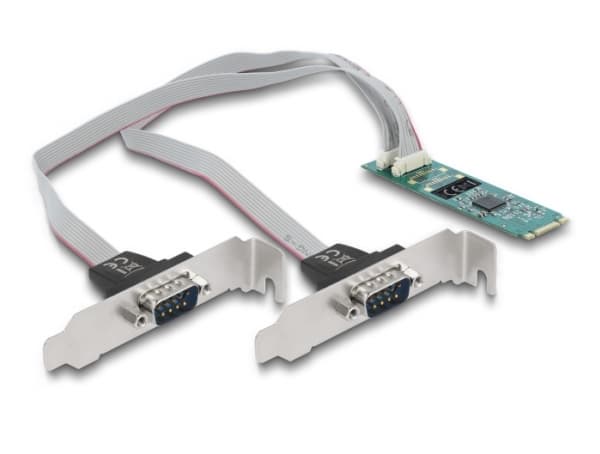 Delock - Seriell adapter - M.2 2280 - RS-232 x 2 - grønn
