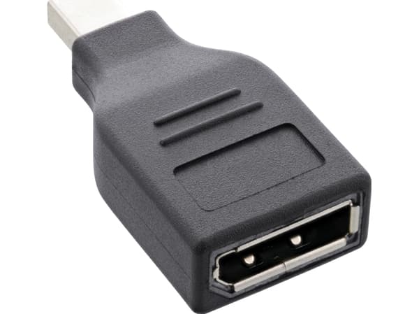 InLine 17196B, Mini DisplayPort, DisplayPort, Musta, Muovipussi