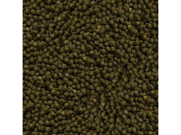 Sera Koi Color Large 3.800 ml, rakeet - pokarm postawowy dla Koi