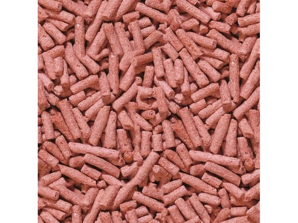 Sera Pond Color Sticks 3.800 ml, granulat - färgfoder för dammfiskar