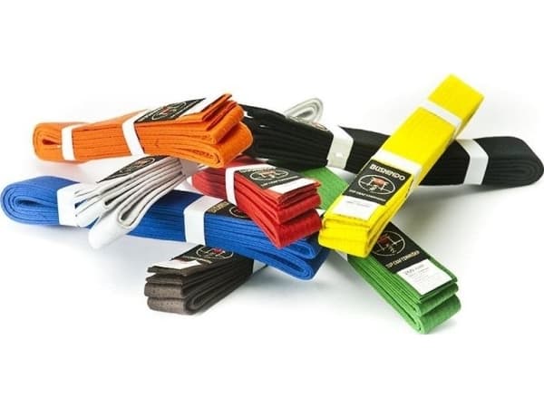Bushido BUSHINDO KIMON BELT 300cm sininen