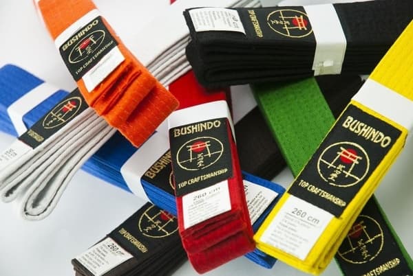 Bushido BUSHINDO KIMON BELT 300cm sininen