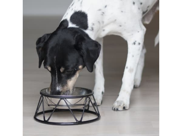 Dogman Matskål Menja Svart 700ml