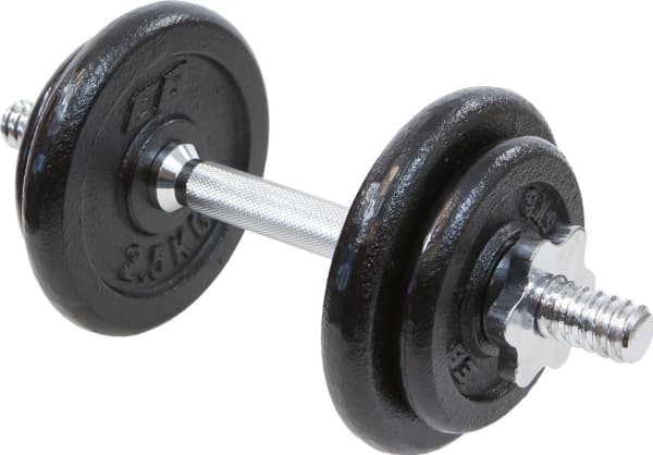 Ketaus dumbbell squat 10 kg Eb Fit