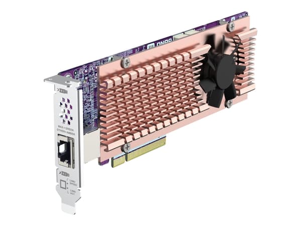 QNAP QM2-2P410G2T - Lagringskontroller med 2 x 10GBASE-T-porter - M.2 - PCIe 4.0 x4 (NVMe) - lav profil - PCIe 4.0 x8 - for QNAP TDS-h2489FU-4309Y-64