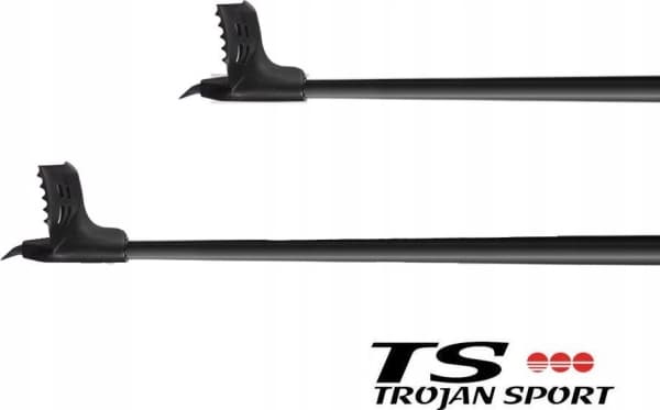 Leki LE STICK XTA 5.5 black 160
