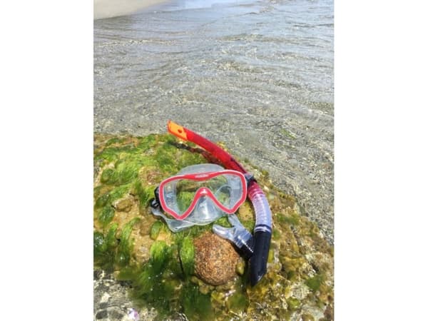 SCHILDKROT FUN SPORT Adult Snorkel Set FIJI- two-part