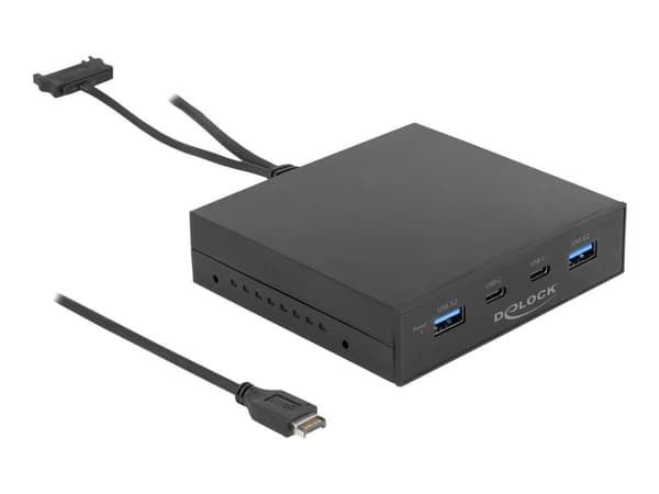 Delock - Portpanel till lagringsfack - USB 3.2 Gen 2 Type-C x 2, USB 3.2 Gen 2 Type-A x 2 - svart