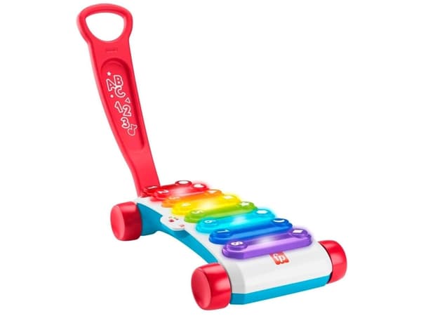 Fisher-Price Opi ja naura! Suuri opettavainen xyphoon vetää!