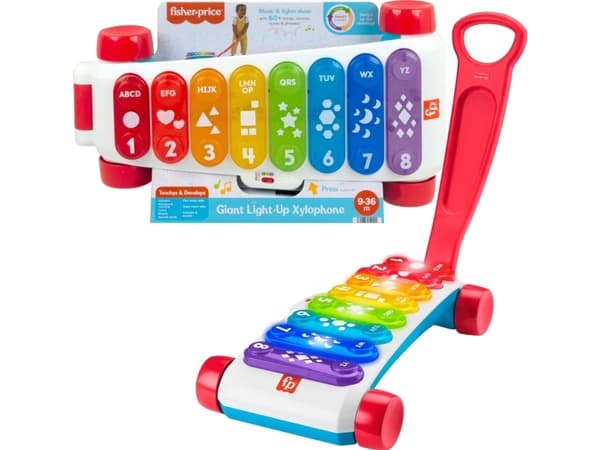 Fisher-Price Opi ja naura! Suuri opettavainen xyphoon vetää!