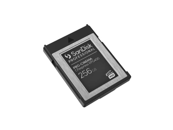 SanDisk - Flash-minneskort - 256 GB - CFexpress, typ B - svart