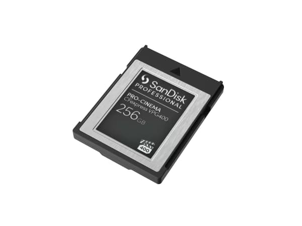 SanDisk - Flash-minneskort - 256 GB - CFexpress, typ B - svart