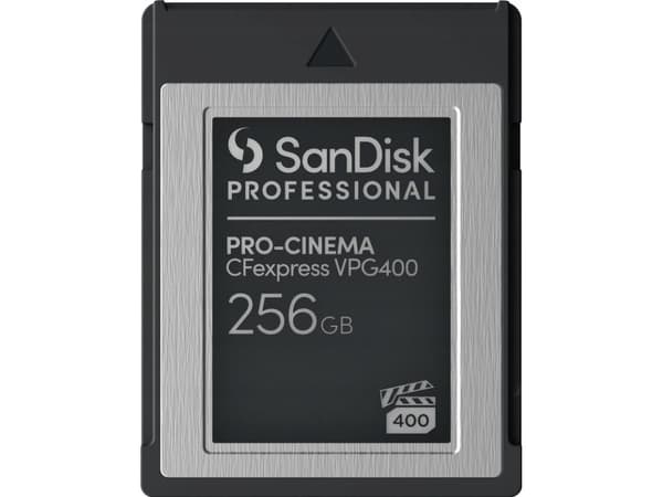 SanDisk - Flash-minneskort - 256 GB - CFexpress, typ B - svart
