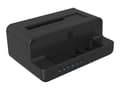 Miniatyrbilde 3 av 5: ICY BOX IB-2914MSCL-C31 - HDD / SSD-dokkestasjon - 2,5" / 3,5" delt, M.2 - SATA 6Gb/s - USB 3.2 (Gen 2) - svart