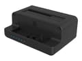 Miniatyrbilde 2 av 5: ICY BOX IB-2914MSCL-C31 - HDD / SSD-dokkestasjon - 2,5" / 3,5" delt, M.2 - SATA 6Gb/s - USB 3.2 (Gen 2) - svart