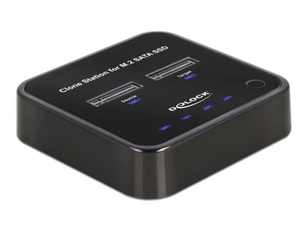 Delock - SSD-dockningsstation - fack: 2 - M.2 - M.2 Card - USB-C 3.2 (Gen 2) - svart