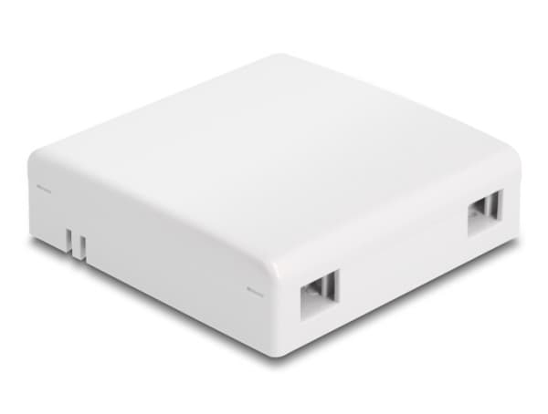 Delock - Fiberoptisk anslutningslåda - väggmontering - vit