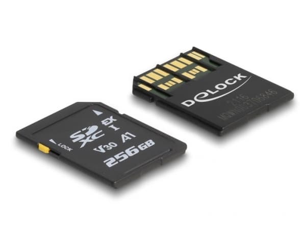 Delock - Flash-minneskort - 256 GB - Video Class V30 / UHS-I U3 - SD