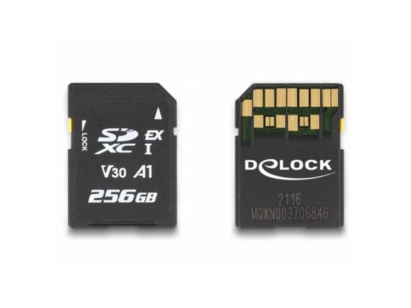 Delock - Flash-minneskort - 256 GB - Video Class V30 / UHS-I U3 - SD