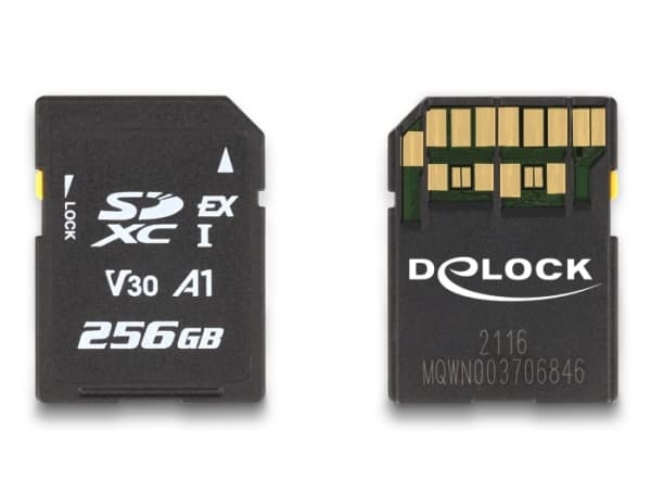 Delock - Flash-minneskort - 256 GB - Video Class V30 / UHS-I U3 - SD