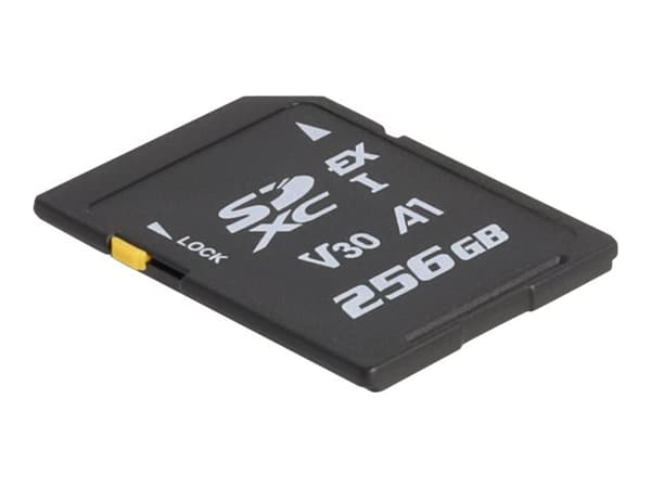 Delock - Flash-minneskort - 256 GB - Video Class V30 / UHS-I U3 - SD