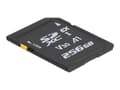 Miniatyrbild 1 av 3: Delock - Flash-minneskort - 256 GB - Video Class V30 / UHS-I U3 - SD