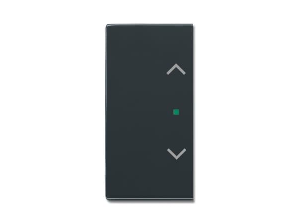 Busch-Jaeger 2CKA006220A0053, Antracit, Busch-free@home