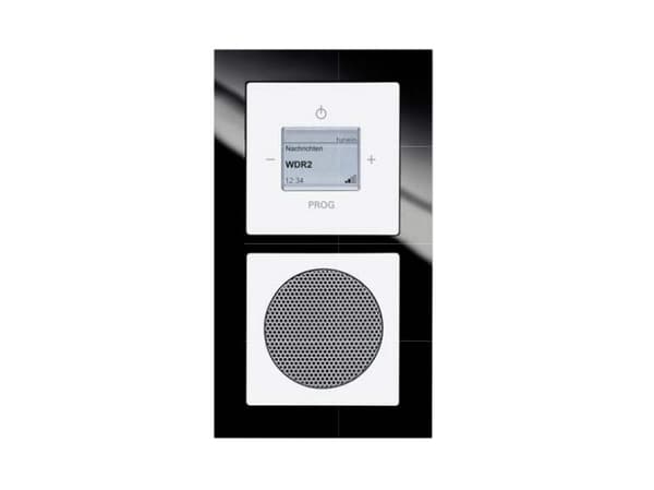 Busch-Jaeger 8240-84, Internet, Digital, 2 W, 100 - 10000 hz, 4 O, 802.11b, 802.11g