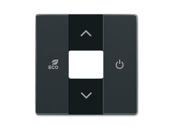 Busch-Jaeger 2CKA006220A0074, Antracit, 6224/2,0